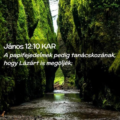 Picture 02 - János 12:10 KAR - A papifejedelmek pedig tanácskozának, hogy - Bible Verse Picture