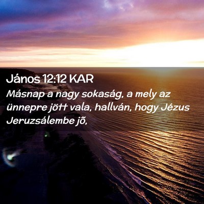 Picture 02 - János 12:12 KAR - Másnap a nagy sokaság, a mely az ünnepre jött - Bible Verse Picture