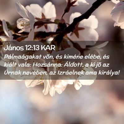 Picture 02 - János 12:13 KAR - Pálmaágakat võn, és kiméne elébe, és - Bible Verse Picture
