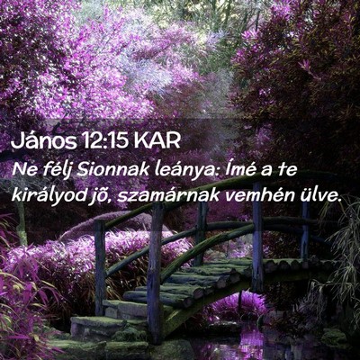 Picture 02 - János 12:15 KAR - Ne félj Sionnak leánya: Ímé a te királyod - Bible Verse Picture