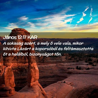 Picture 02 - János 12:17 KAR - A sokaság azért, a mely õ vele vala, mikor - Bible Verse Picture