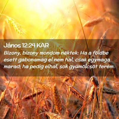 Picture 02 - János 12:24 KAR - Bizony, bizony mondom néktek: Ha a földbe esett - Bible Verse Picture