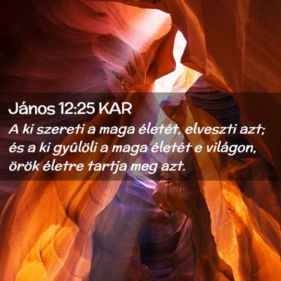 Picture 02 - János 12:25 KAR - A ki szereti a maga életét, elveszti azt; és a - Bible Verse Picture