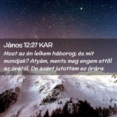 Picture 02 - János 12:27 KAR - Most az én lelkem háborog; és mit mondjak? - Bible Verse Picture