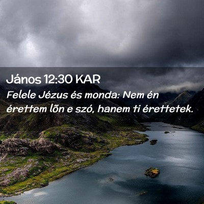 Picture 02 - János 12:30 KAR - Felele Jézus és monda: Nem én érettem lõn e - Bible Verse Picture
