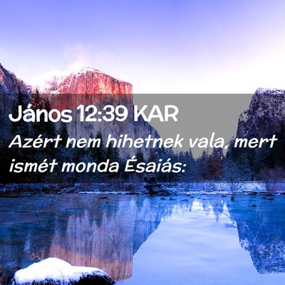 Picture 02 - János 12:39 KAR - Azért nem hihetnek vala, mert ismét monda - Bible Verse Picture
