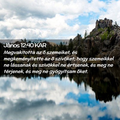 Picture 02 - János 12:40 KAR - Megvakította az õ szemeiket, és - Bible Verse Picture