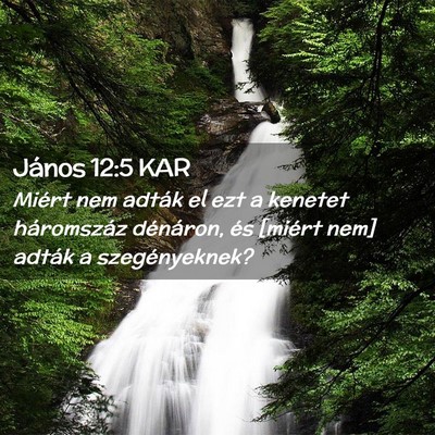 Picture 02 - János 12:5 KAR - Miért nem adták el ezt a kenetet háromszáz - Bible Verse Picture