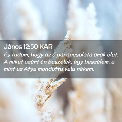 Picture 02 - János 12:50 KAR - És tudom, hogy az õ parancsolata örök élet. - Bible Verse Picture