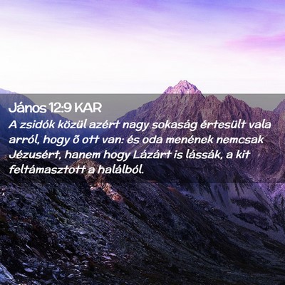 Picture 02 - János 12:9 KAR - A zsidók közül azért nagy sokaság értesült - Bible Verse Picture