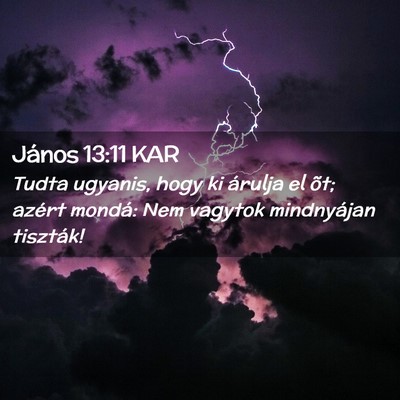 Picture 02 - János 13:11 KAR - Tudta ugyanis, hogy ki árulja el õt; azért - Bible Verse Picture