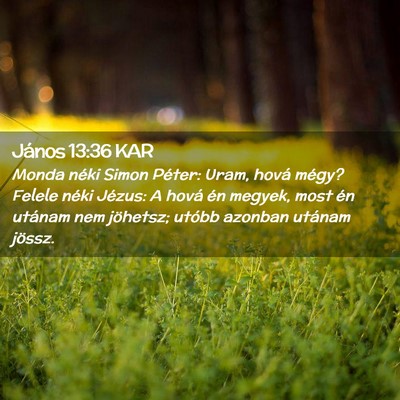 Picture 02 - János 13:36 KAR - Monda néki Simon Péter: Uram, hová mégy? - Bible Verse Picture