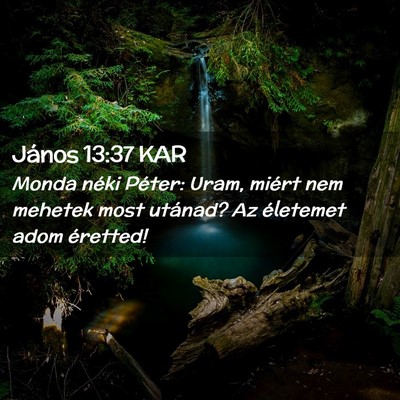 Picture 02 - János 13:37 KAR - Monda néki Péter: Uram, miért nem mehetek most - Bible Verse Picture