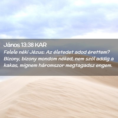 Picture 02 - János 13:38 KAR - Felele néki Jézus: Az életedet adod érettem? - Bible Verse Picture