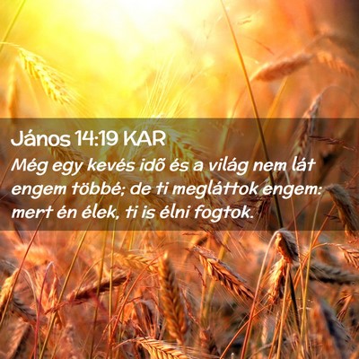 Picture 02 - János 14:19 KAR - Még egy kevés idõ és a világ nem lát engem - Bible Verse Picture