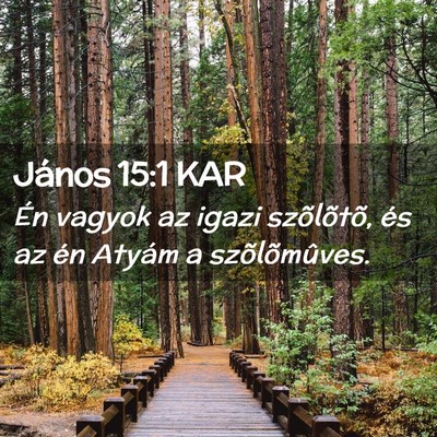 Picture 02 - János 15:1 KAR - Én vagyok az igazi szõlõtõ, és az én Atyám - Bible Verse Picture
