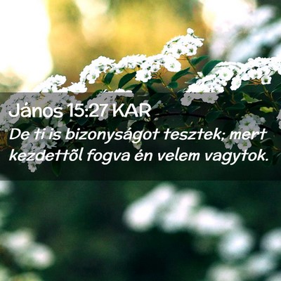 Picture 02 - János 15:27 KAR - De ti is bizonyságot tesztek; mert kezdettõl - Bible Verse Picture