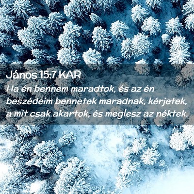 Picture 02 - János 15:7 KAR - Ha én bennem maradtok, és az én beszédeim - Bible Verse Picture