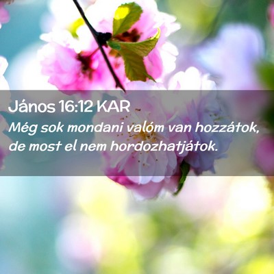 Picture 02 - János 16:12 KAR - Még sok mondani valóm van hozzátok, de most el - Bible Verse Picture