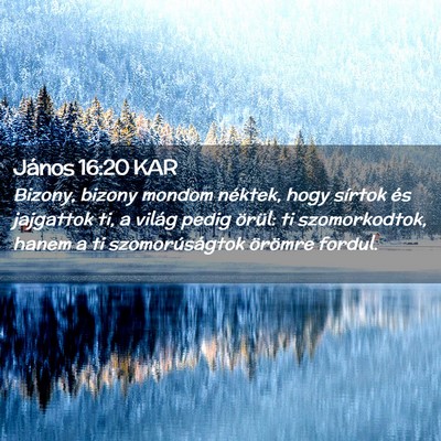 Picture 02 - János 16:20 KAR - Bizony, bizony mondom néktek, hogy sírtok és - Bible Verse Picture