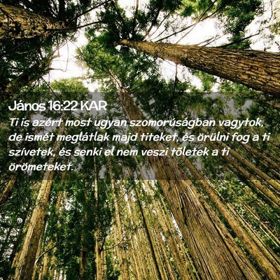 Picture 02 - János 16:22 KAR - Ti is azért most ugyan szomorúságban vagytok, - Bible Verse Picture