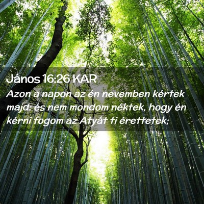 Picture 02 - János 16:26 KAR - Azon a napon az én nevemben kértek majd: és - Bible Verse Picture