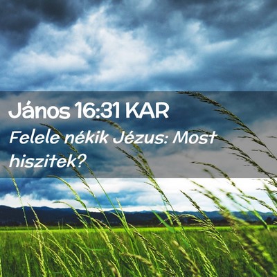 Picture 02 - János 16:31 KAR - Felele nékik Jézus: Most - Bible Verse Picture