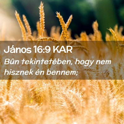 Picture 02 - János 16:9 KAR - Bûn tekintetében, hogy nem hisznek én - Bible Verse Picture