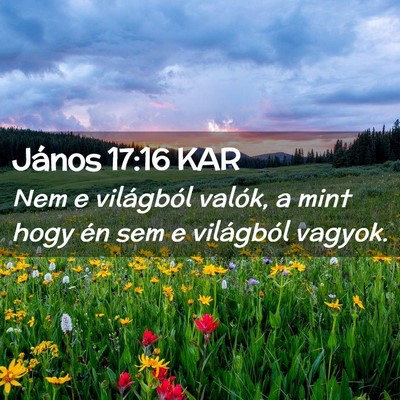 Picture 02 - János 17:16 KAR - Nem e világból valók, a mint hogy én sem e - Bible Verse Picture