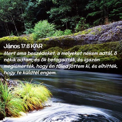 Picture 02 - János 17:8 KAR - Mert ama beszédeket, a melyeket nékem adtál, - Bible Verse Picture