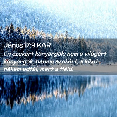 Picture 02 - János 17:9 KAR - Én ezekért könyörgök: nem a világért - Bible Verse Picture