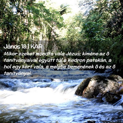 Picture 02 - János 18:1 KAR - Mikor ezeket mondta vala Jézus, kiméne az õ - Bible Verse Picture