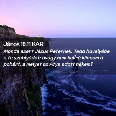 Picture 02 - János 18:11 KAR - Monda azért Jézus Péternek: Tedd hüvelyébe a - Bible Verse Picture