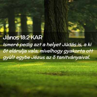 Picture 02 - János 18:2 KAR - Ismeré pedig azt a helyet Júdás is, a ki õt - Bible Verse Picture