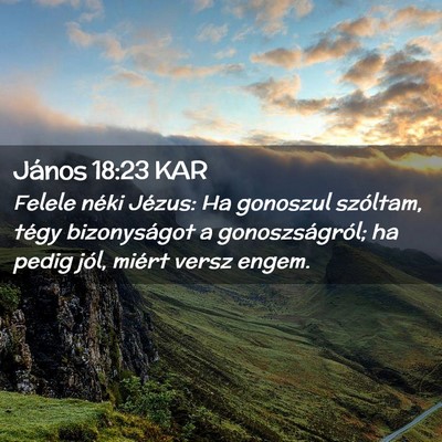 Picture 02 - János 18:23 KAR - Felele néki Jézus: Ha gonoszul szóltam, tégy - Bible Verse Picture