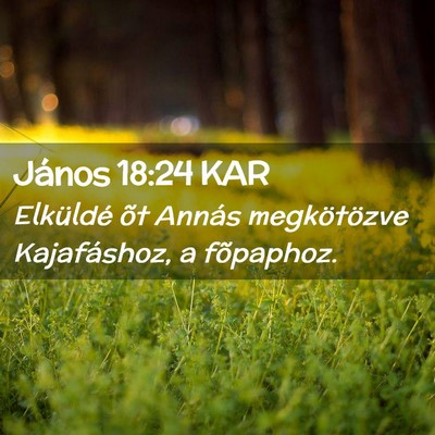 Picture 02 - János 18:24 KAR - Elküldé õt Annás megkötözve Kajafáshoz, a - Bible Verse Picture