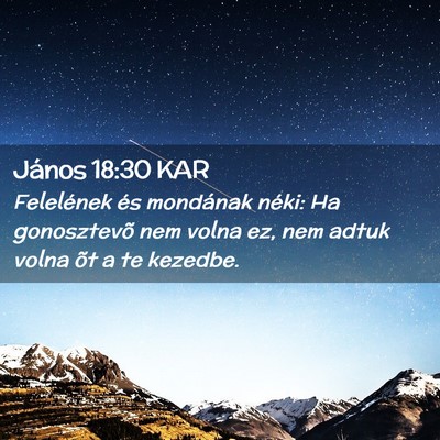 Picture 02 - János 18:30 KAR - Felelének és mondának néki: Ha gonosztevõ - Bible Verse Picture