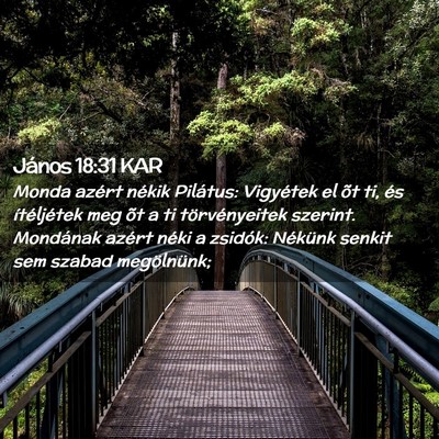Picture 02 - János 18:31 KAR - Monda azért nékik Pilátus: Vigyétek el õt - Bible Verse Picture