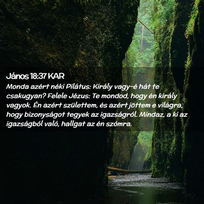 Picture 02 - János 18:37 KAR - Monda azért néki Pilátus: Király vagy-é hát - Bible Verse Picture