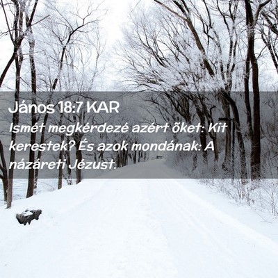 Picture 02 - János 18:7 KAR - Ismét megkérdezé azért õket: Kit kerestek? - Bible Verse Picture