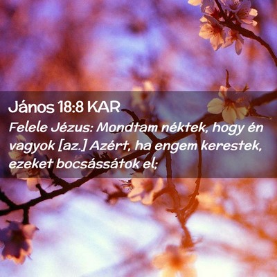 Picture 02 - János 18:8 KAR - Felele Jézus: Mondtam néktek, hogy én vagyok - Bible Verse Picture