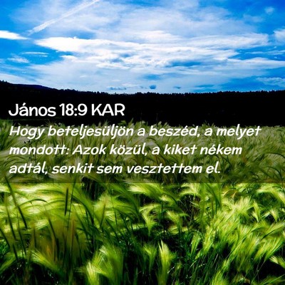 Picture 02 - János 18:9 KAR - Hogy beteljesüljön a beszéd, a melyet mondott: - Bible Verse Picture