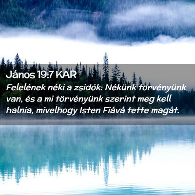 Picture 02 - János 19:7 KAR - Felelének néki a zsidók: Nékünk - Bible Verse Picture