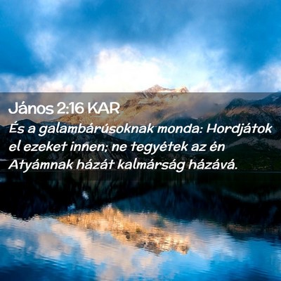 Picture 02 - János 2:16 KAR - És a galambárúsoknak monda: Hordjátok el - Bible Verse Picture