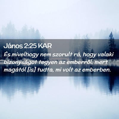 Picture 02 - János 2:25 KAR - És mivelhogy nem szorult rá, hogy valaki - Bible Verse Picture