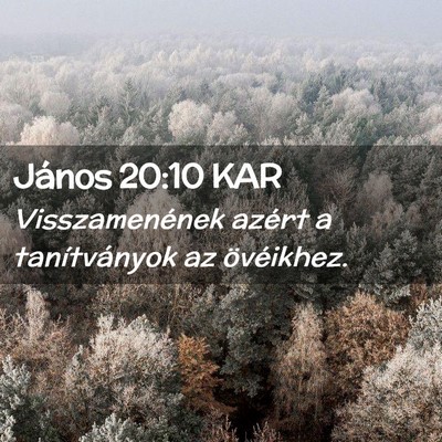 Picture 02 - János 20:10 KAR - Visszamenének azért a tanítványok az - Bible Verse Picture