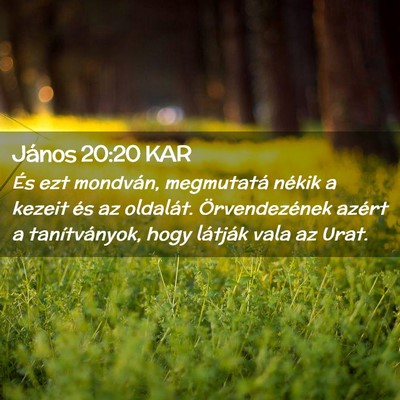 Picture 02 - János 20:20 KAR - És ezt mondván, megmutatá nékik a kezeit és - Bible Verse Picture
