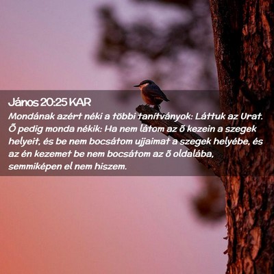 Picture 02 - János 20:25 KAR - Mondának azért néki a többi tanítványok: - Bible Verse Picture