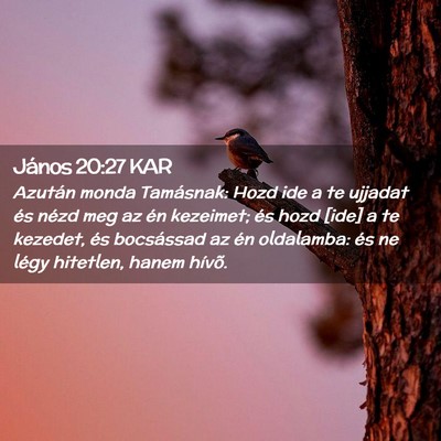 Picture 02 - János 20:27 KAR - Azután monda Tamásnak: Hozd ide a te ujjadat - Bible Verse Picture