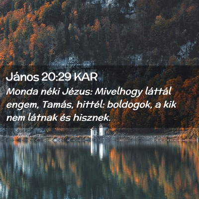Picture 02 - János 20:29 KAR - Monda néki Jézus: Mivelhogy láttál engem, - Bible Verse Picture